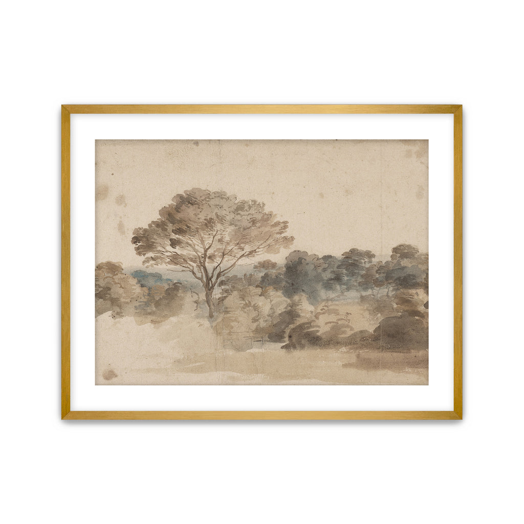 Quiet Grove