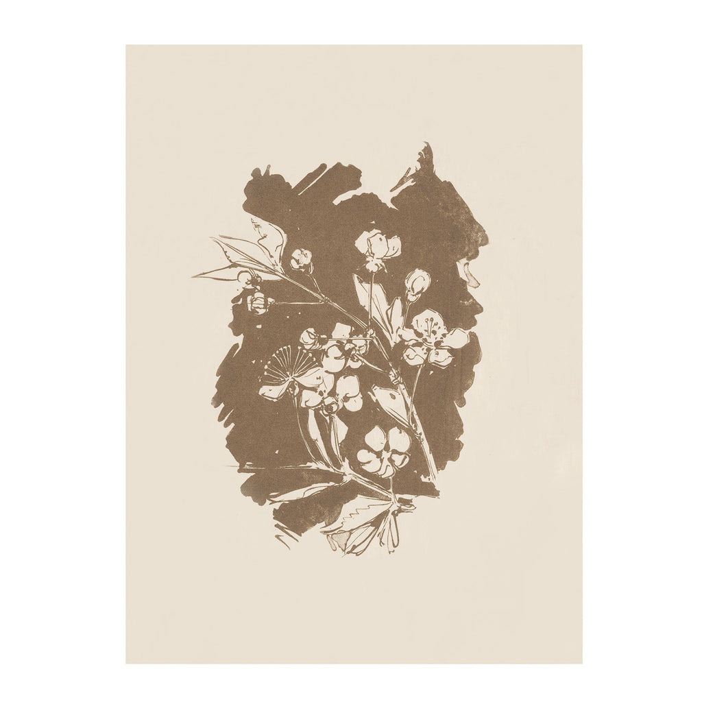 Umber Botanical Study – Vintage Floral Silhouette Unframed Print