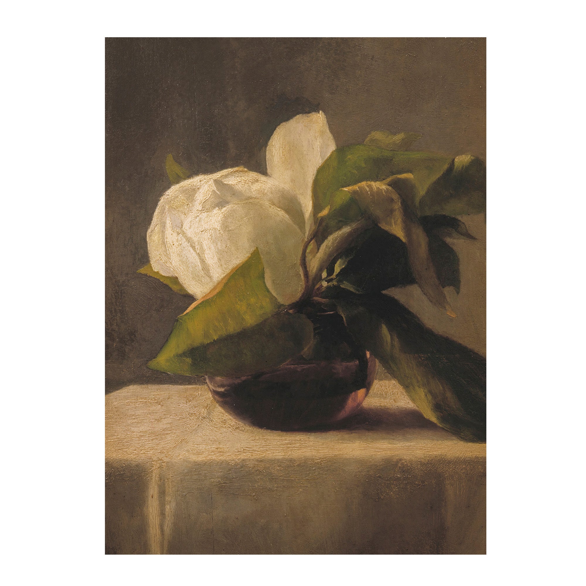 Magnolia Study - Vintage Floral Still-Life