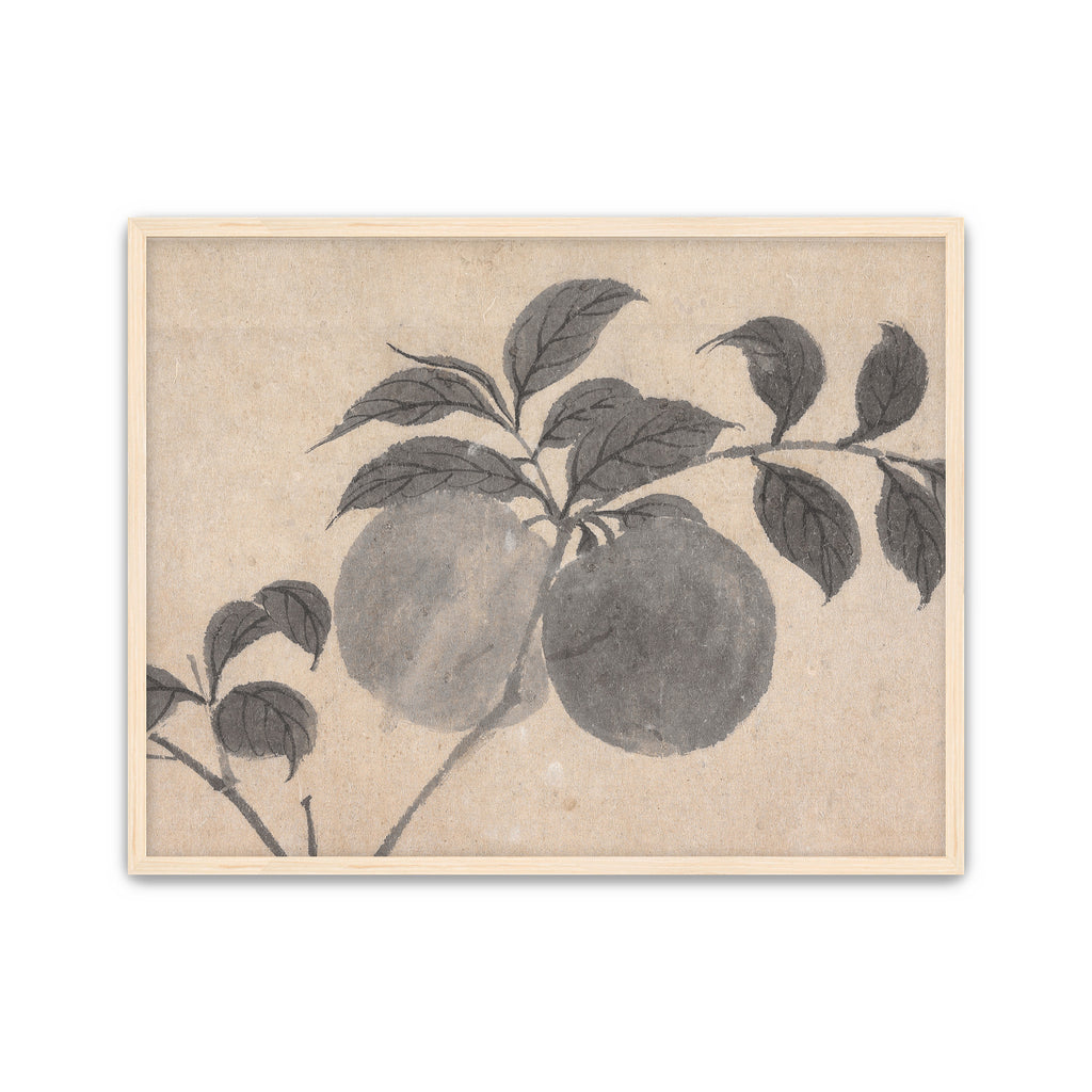 Fruit Branch Studies I