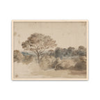 Quiet Grove