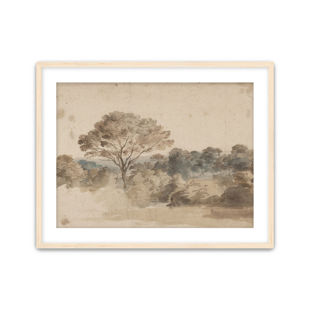 Quiet Grove