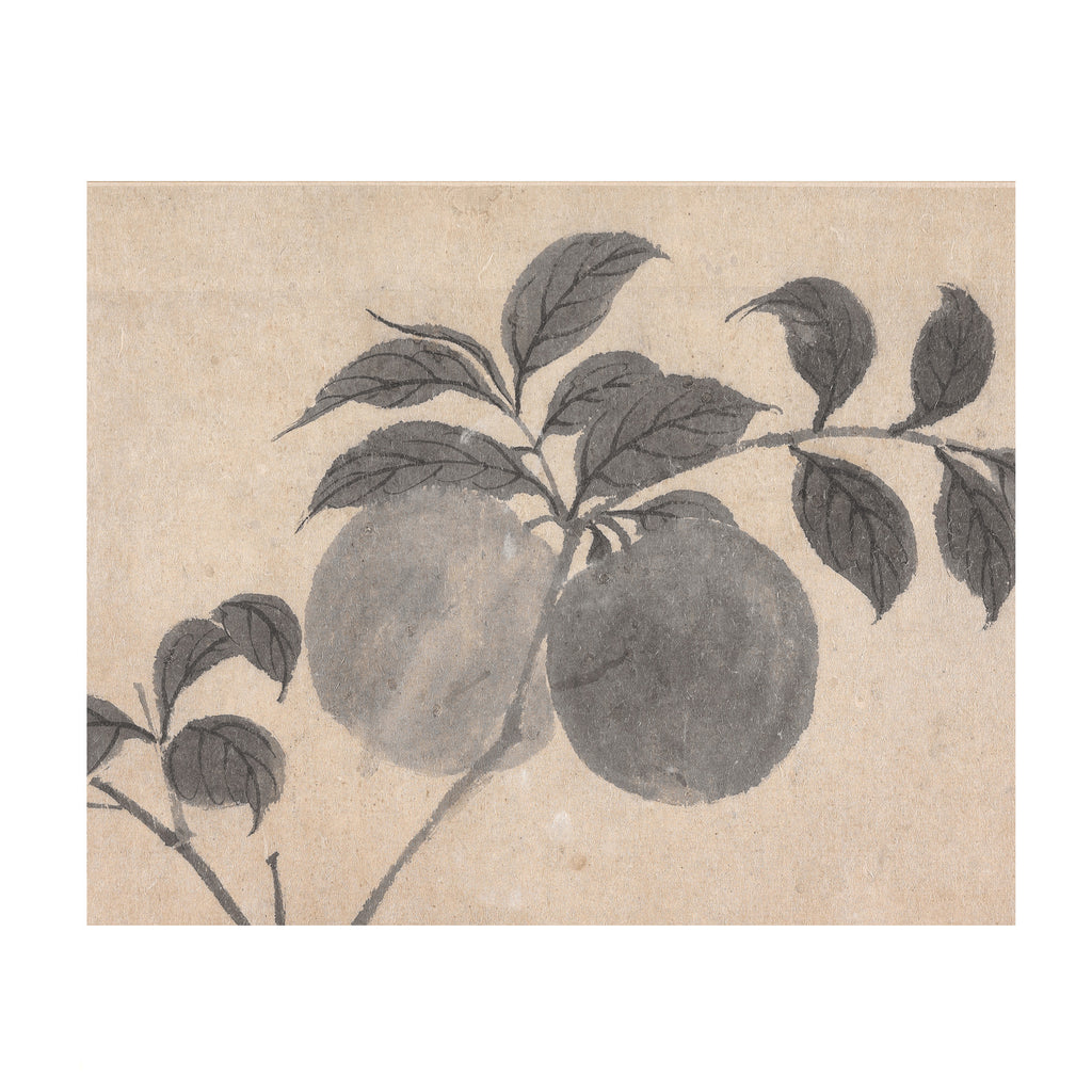 Fruit Branch Studies I