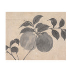 Fruit Branch Studies I