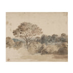 Quiet Grove