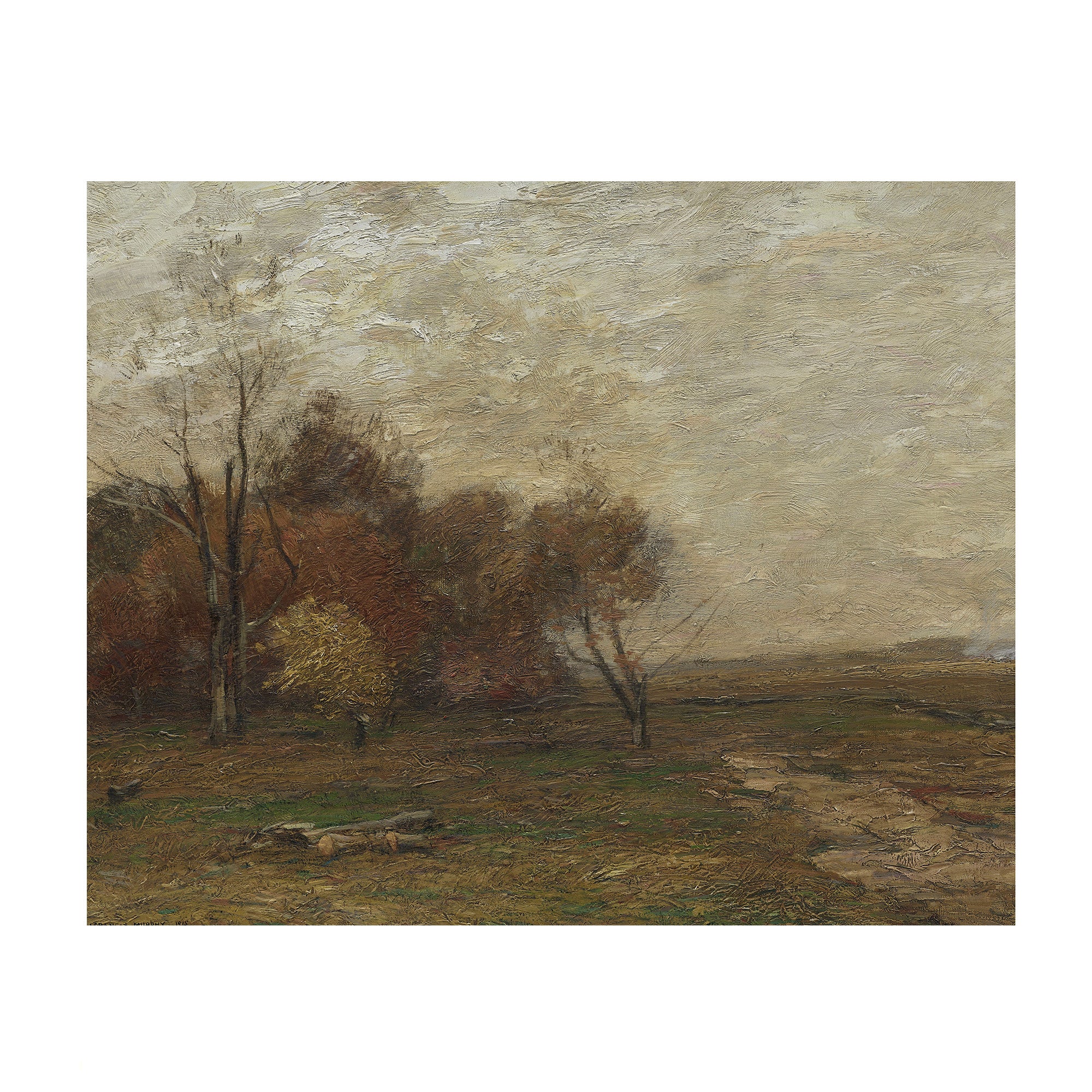 Autumn Field