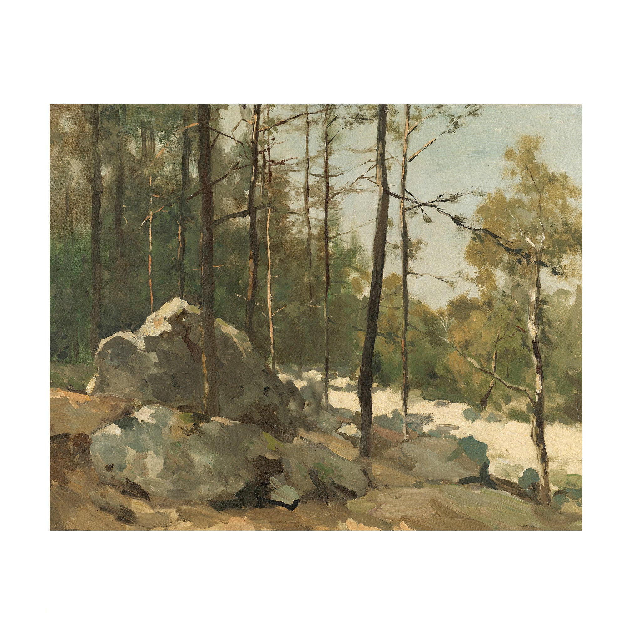 Quiet Pines - Vintage Forest Landscape