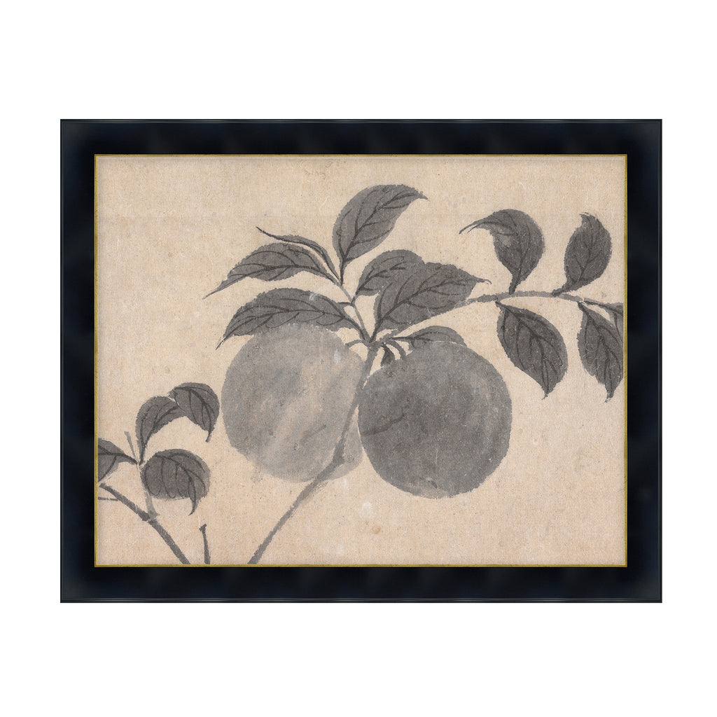 Fruit Branch Studies I