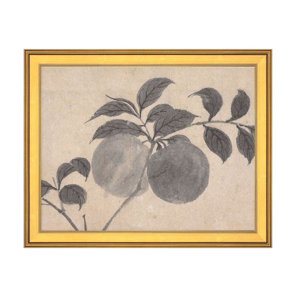 Fruit Branch Studies I