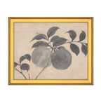 Fruit Branch Studies I