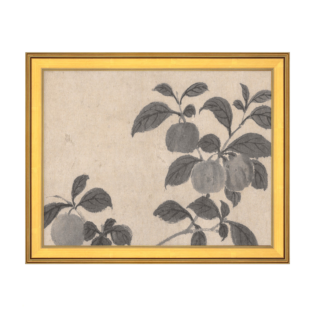 Fruit Branch Studies 2