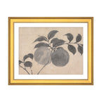Fruit Branch Studies I