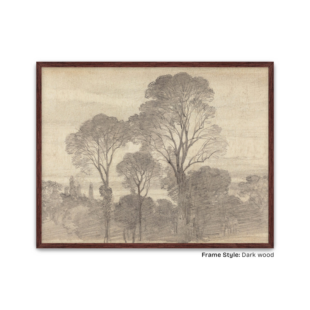 Dark Wood