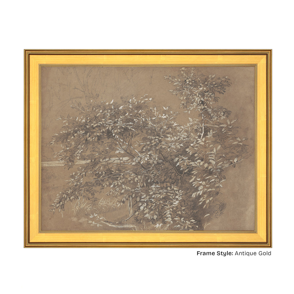Antique Gold