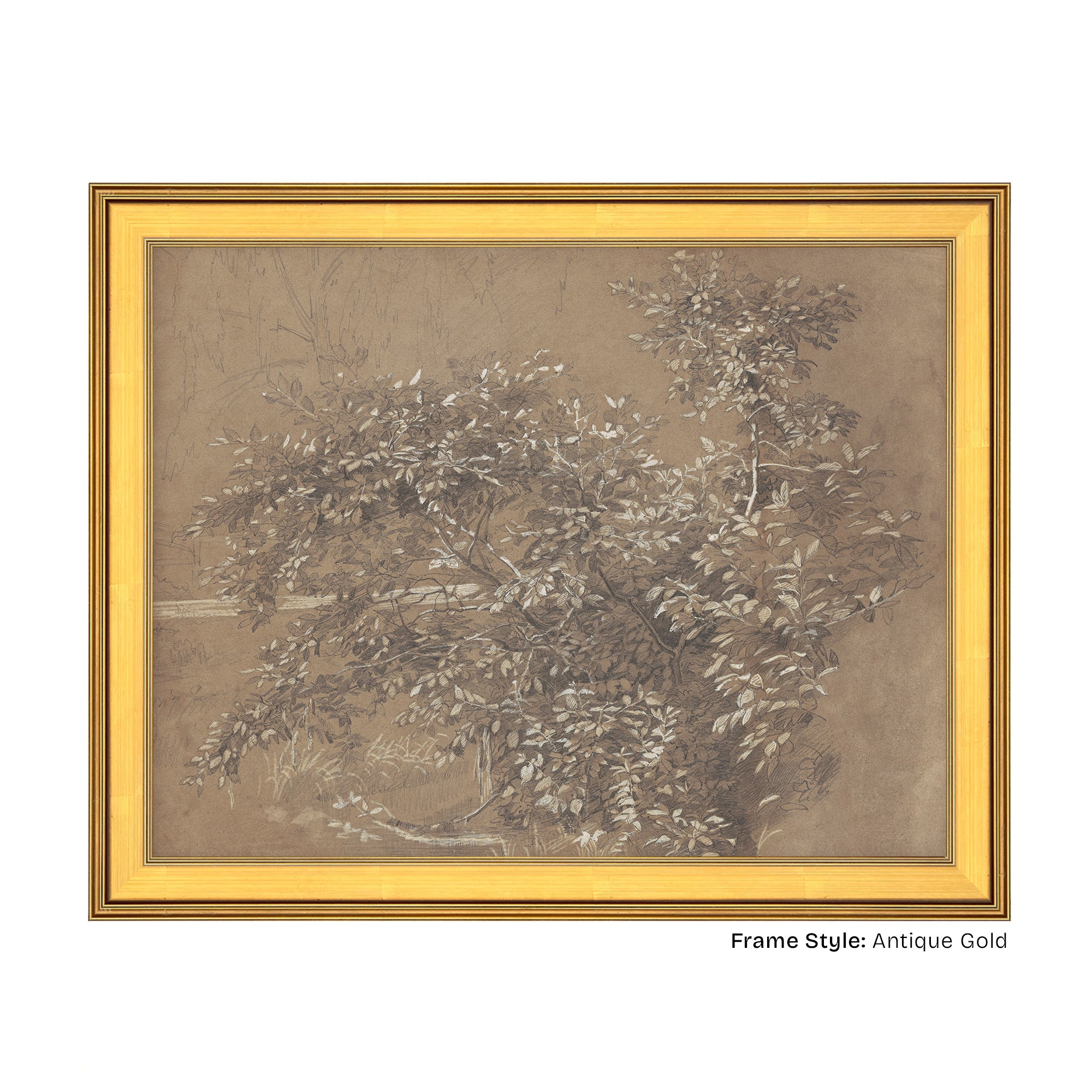 Antique Gold