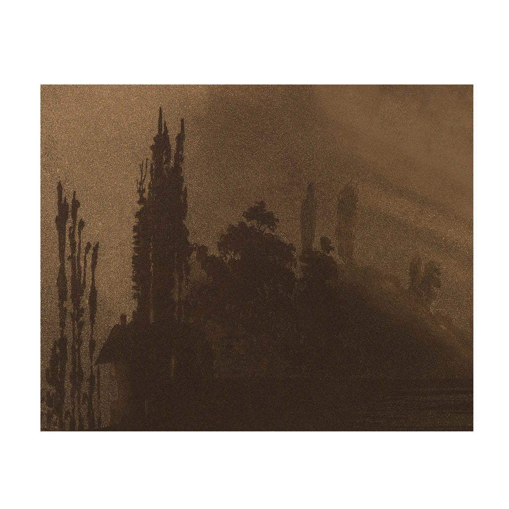 Bronze Stillness - Moody Landscape Silhouette