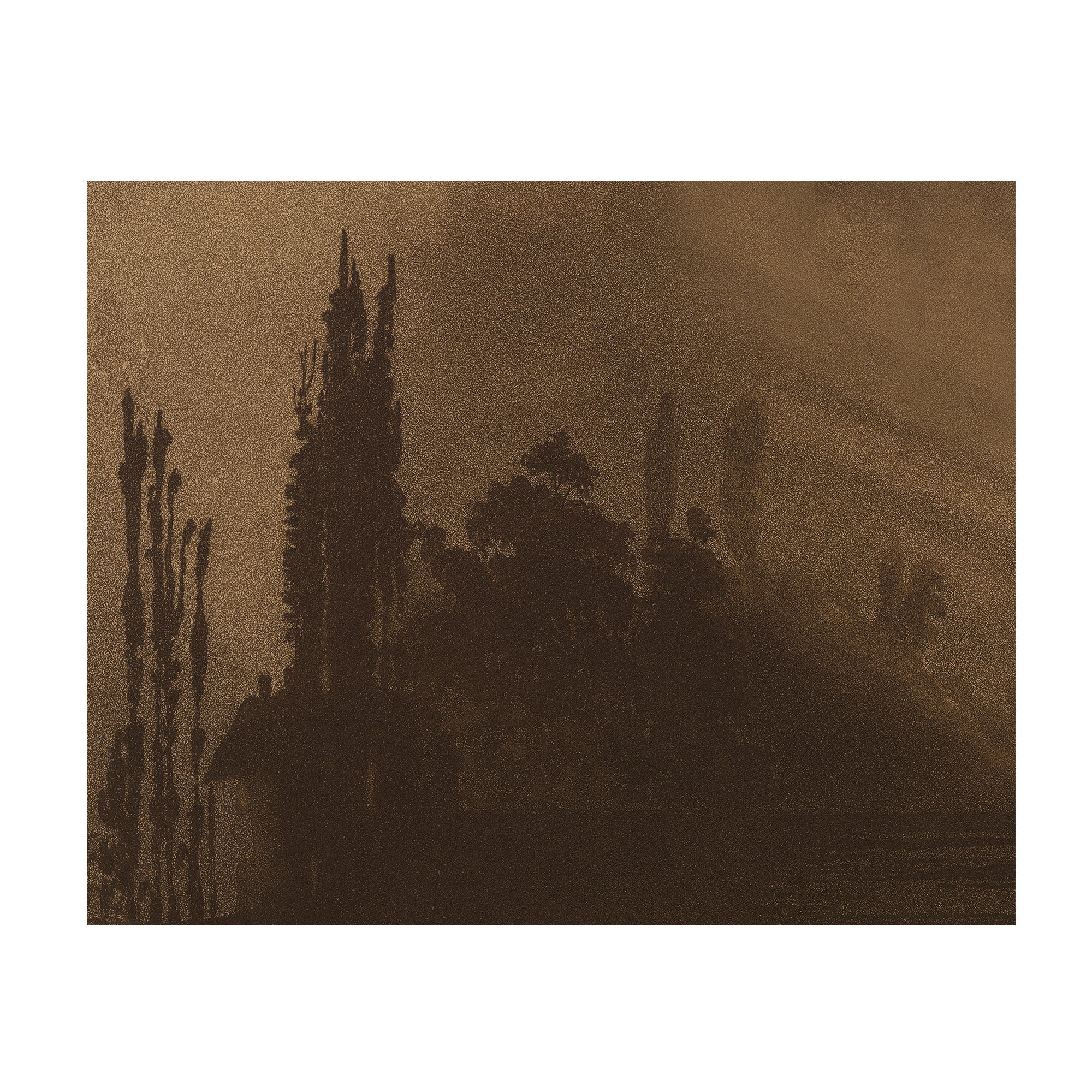 Bronze Stillness - Moody Landscape Silhouette
