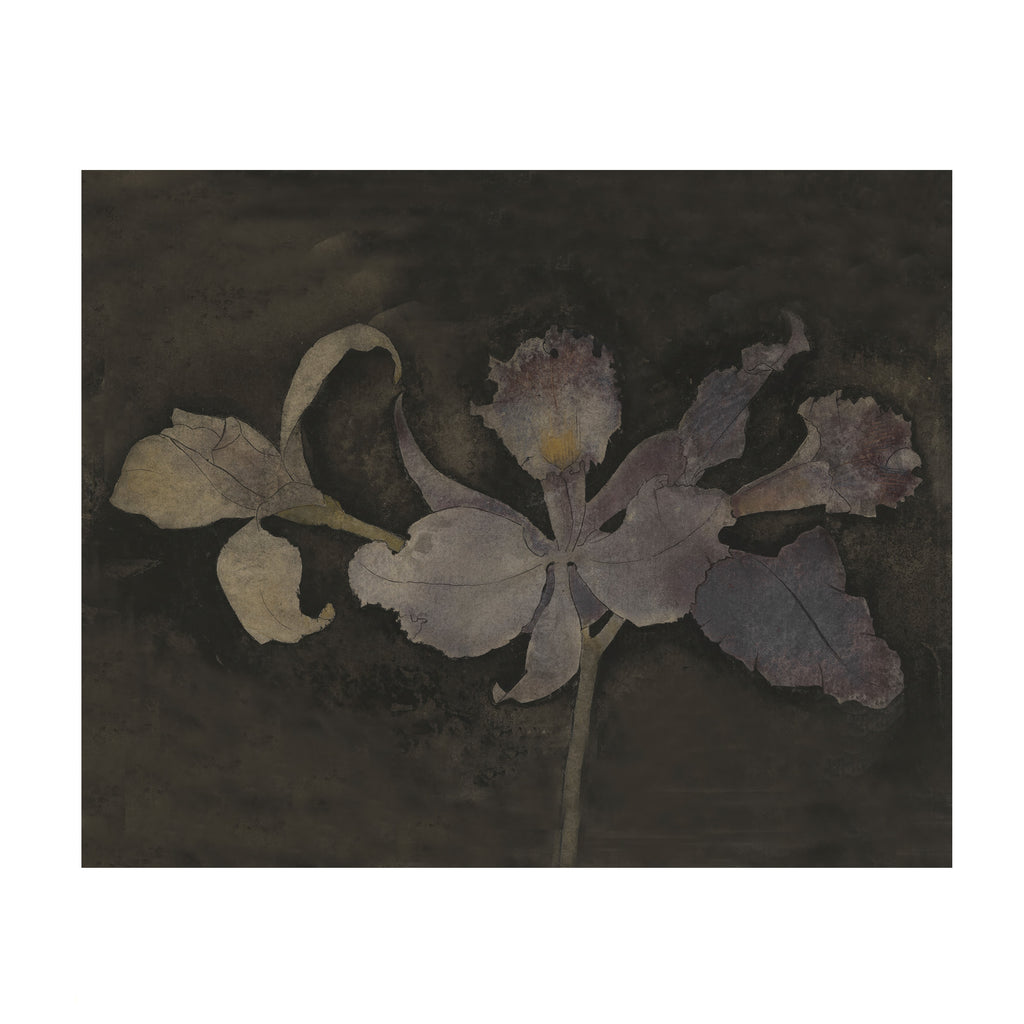 Pressed flower on a dark background
