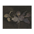 Pressed flower on a dark background