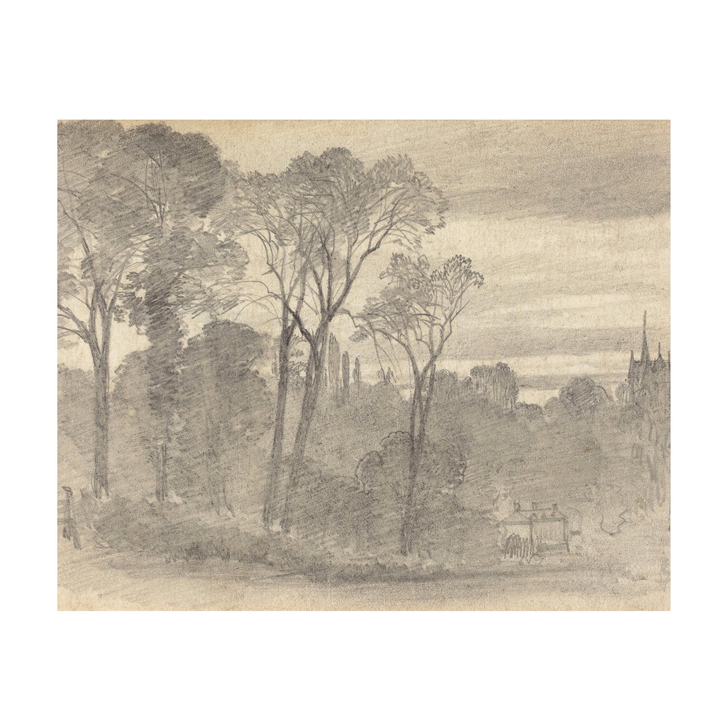 Tree Study 1 - Landscape Sketch