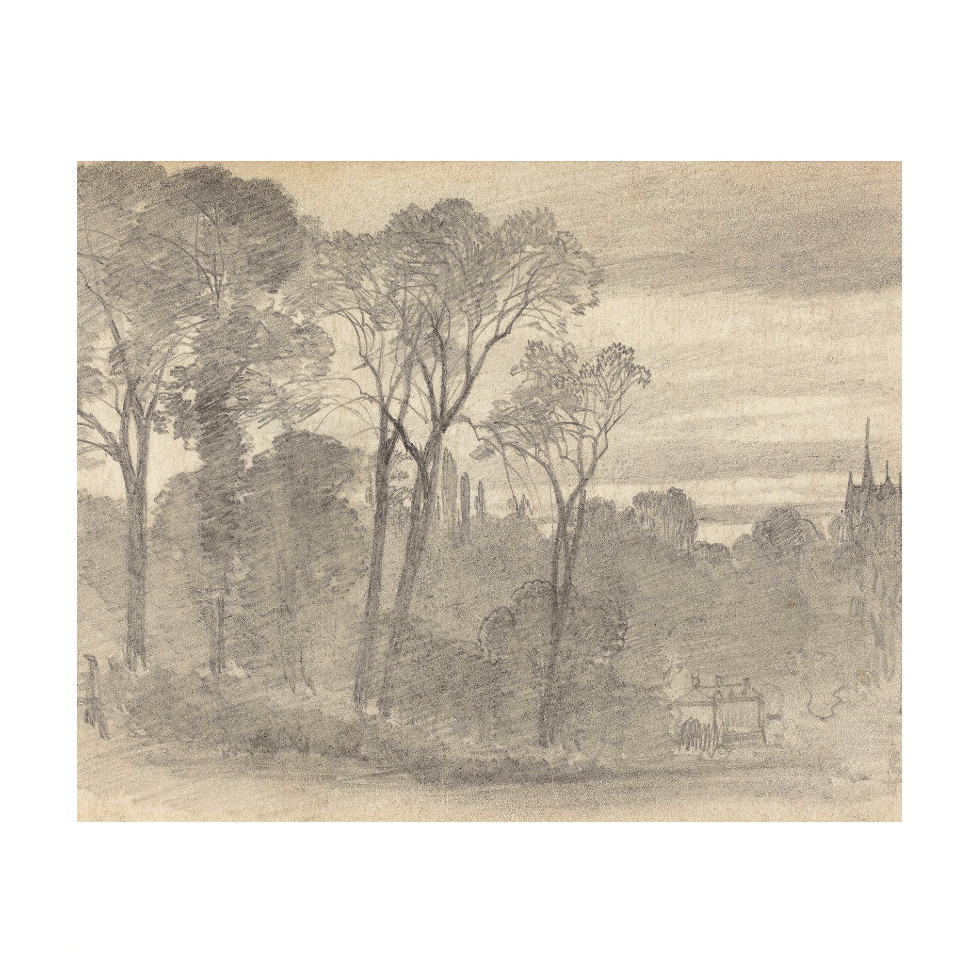 Tree Study 1 - Landscape Sketch