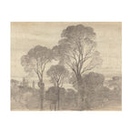 Tree Study 2 - Vintage Forest Drawing