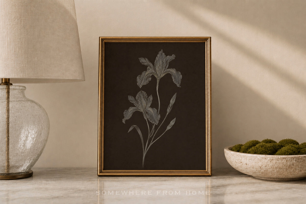 Nocturne Botanicals 2