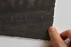 Stillwood Study Unframed Print