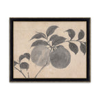 Fruit Branch Studies I
