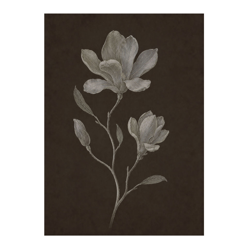 A botanical art print featuring a detailed grayscale sketch of magnolia flowers and leaves on a dark brown textured background, presented with white margins.