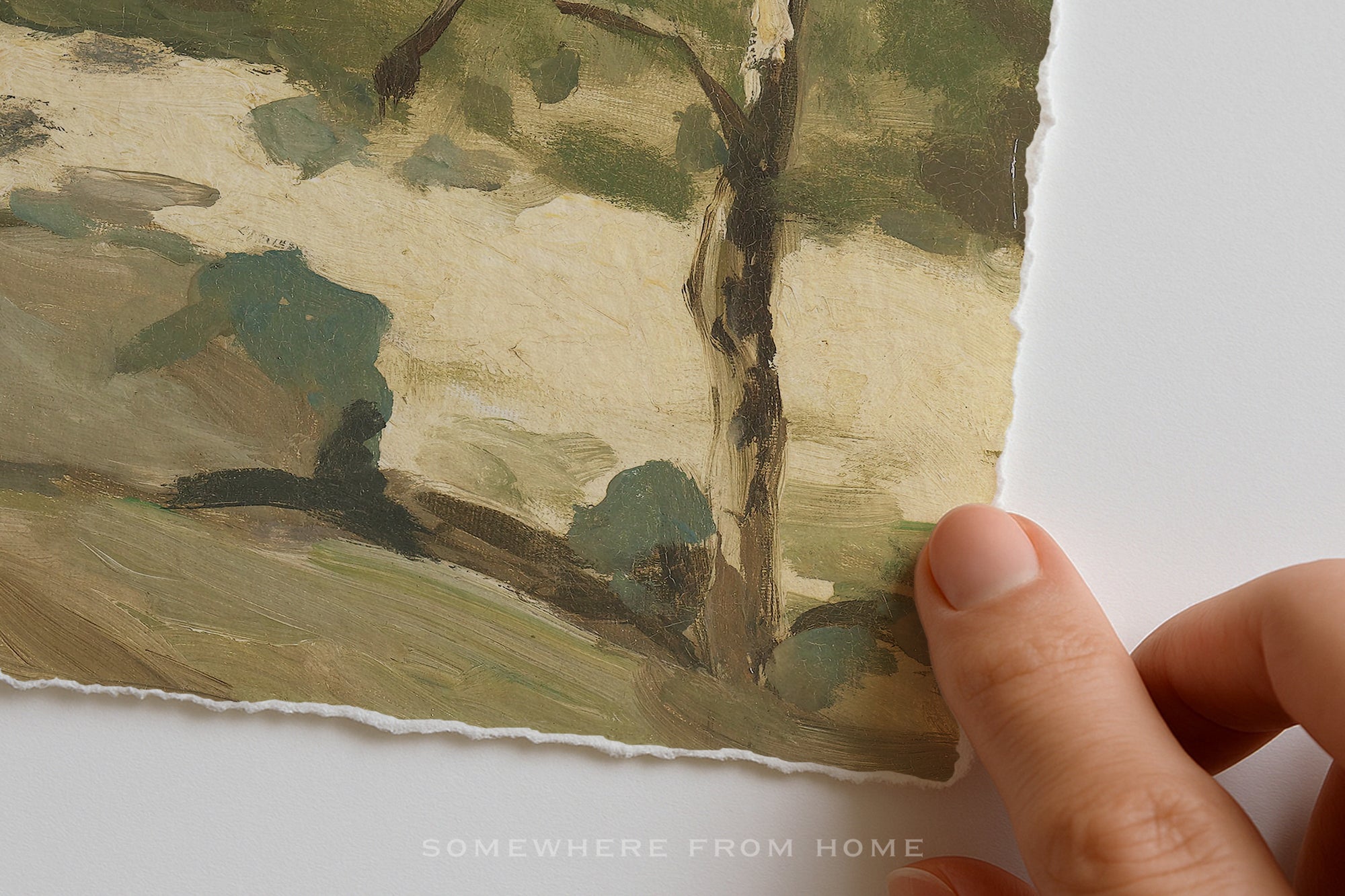 Quiet Pines - Vintage Forest Landscape