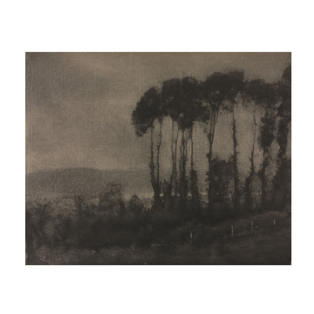A dark, moody landscape painting featuring a cluster of tall, slender trees on the right, with hazy hills in the background under a gray sky.