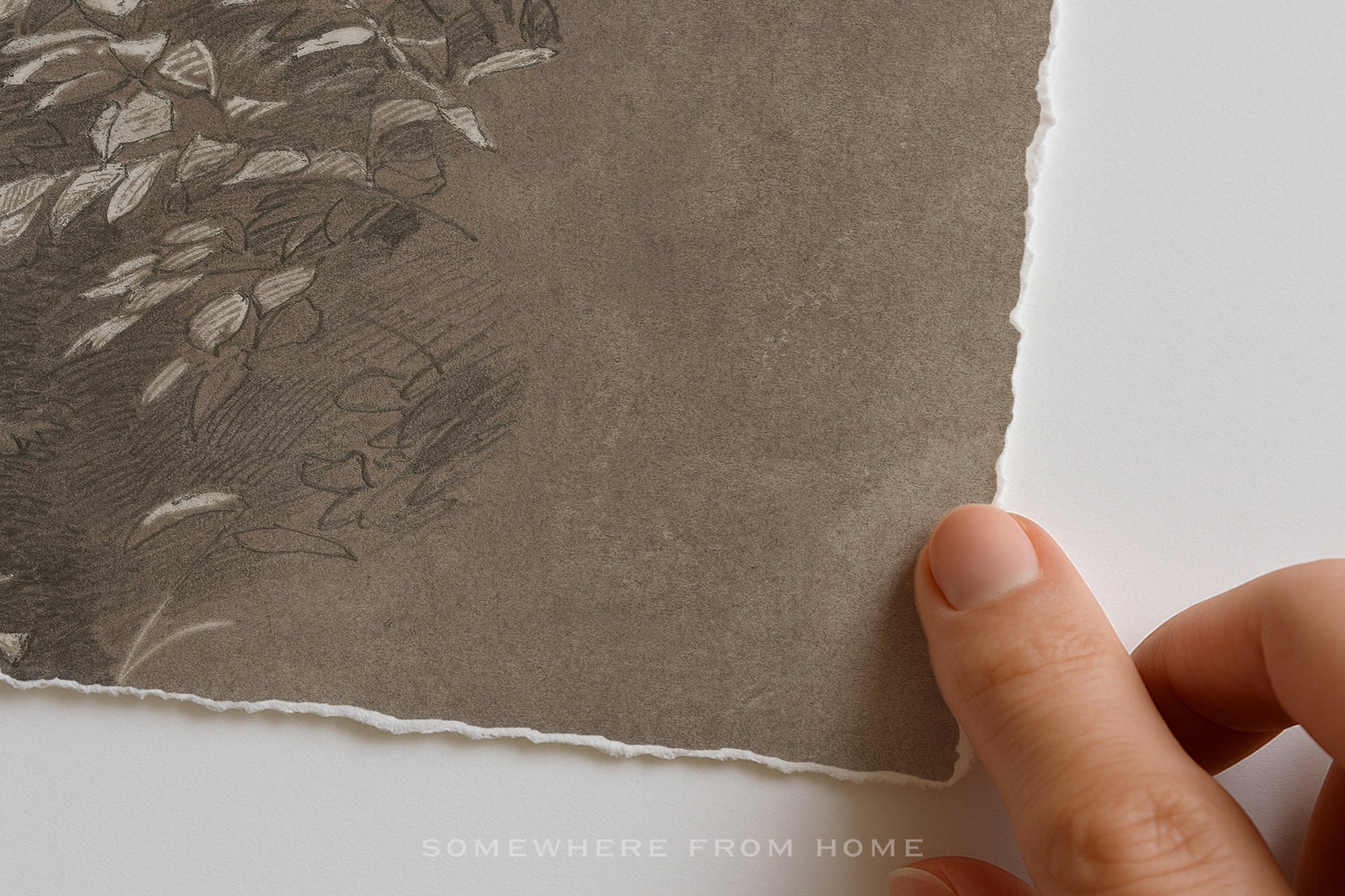 A close-up of a hand holding the edge of a square piece of textured brown paper with torn margins, showing a faint botanical line drawing on the left side against a white background.