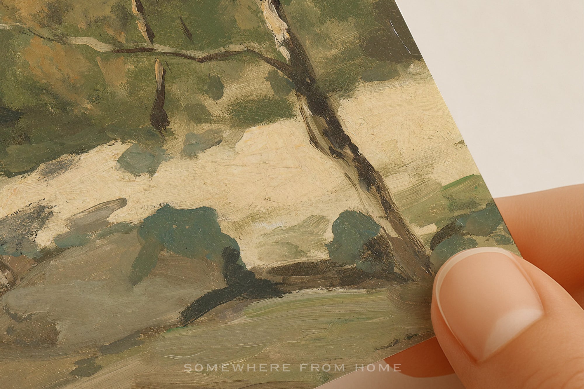 Quiet Pines - Vintage Forest Landscape