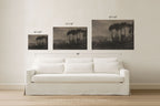 Three framed wall art prints showing dark tree silhouettes in a moody landscape, displayed above a white sofa in a bright room. Black dimension lines and text indicate the sizes of each print and the total width.