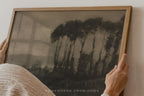 A person holds a framed art print featuring a dark, moody forest scene with tall trees. The print has a textured, sepia-toned look and is housed in a light natural wood frame.