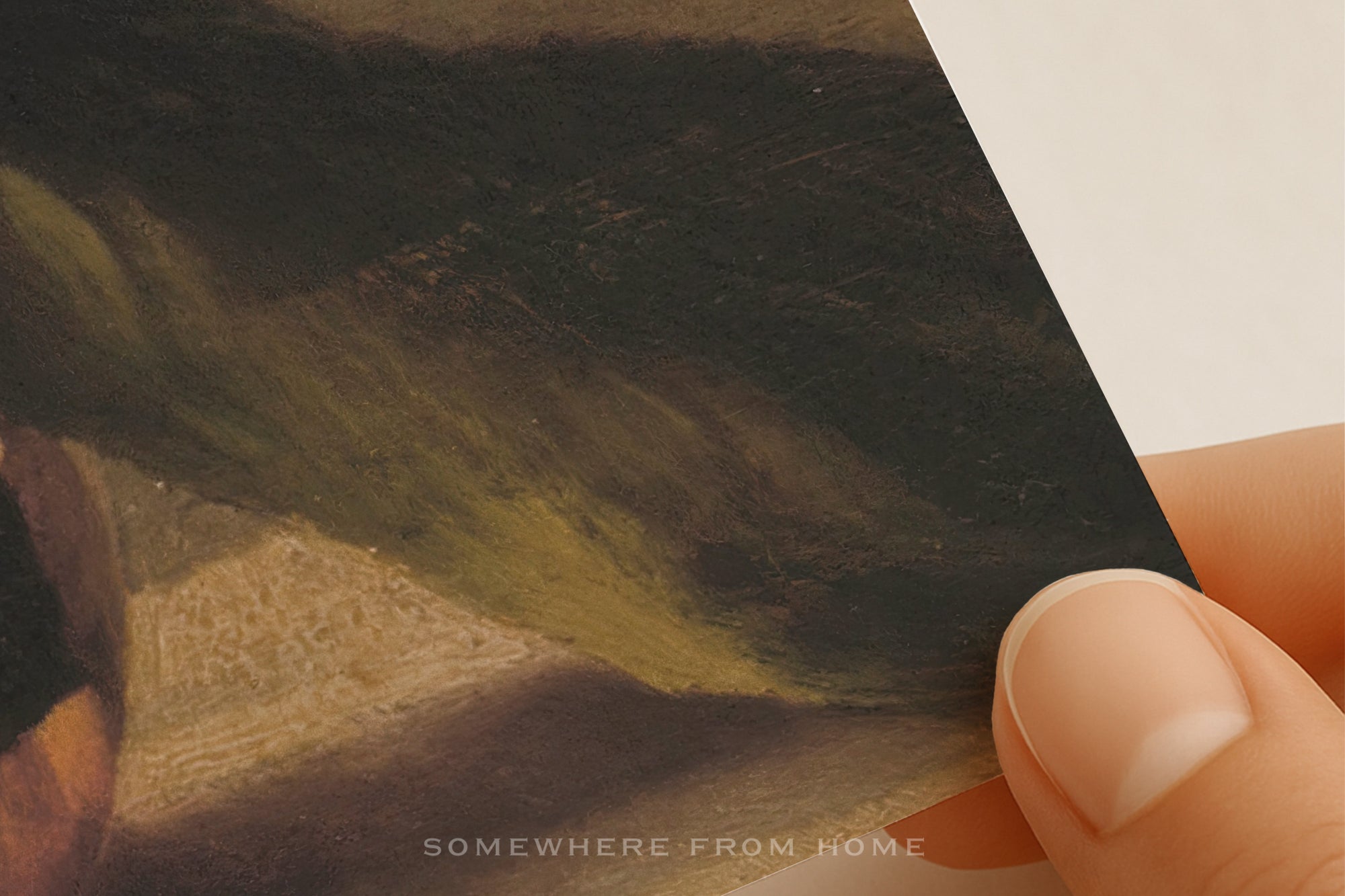 Magnolia Study - Vintage Floral Still-Life