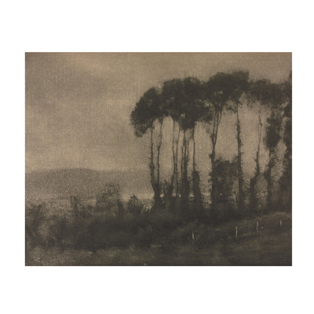 Stillwood Study
