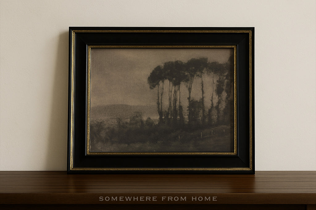 Stillwood Study