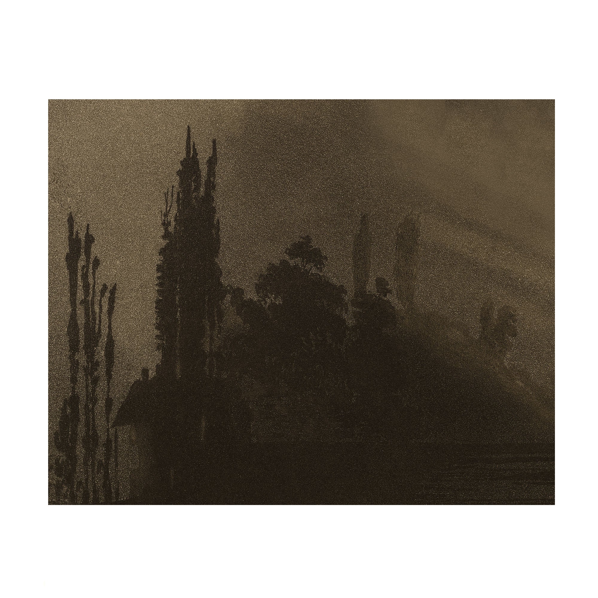 Bronze Stillness - Moody Landscape Silhouette