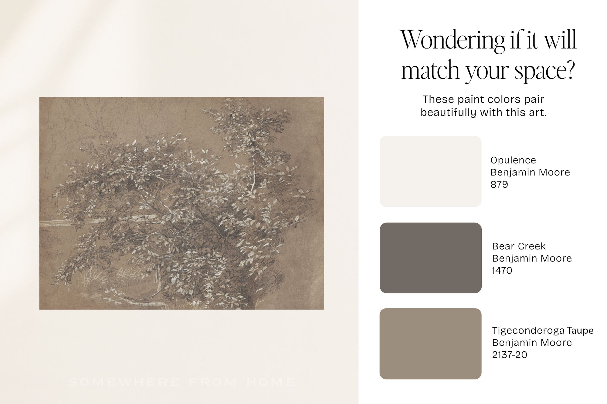 Fallen Bough – Antique Tree Study
