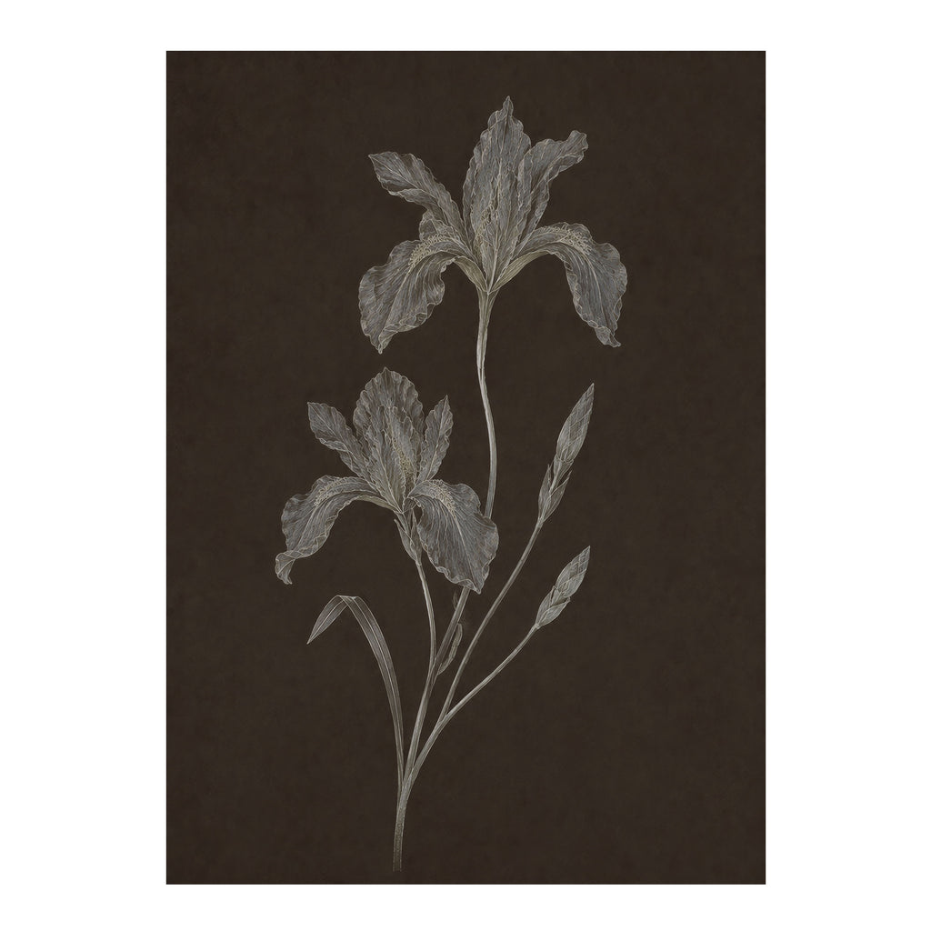 Nocturne Botanicals 2