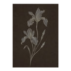 Nocturne Botanicals 2