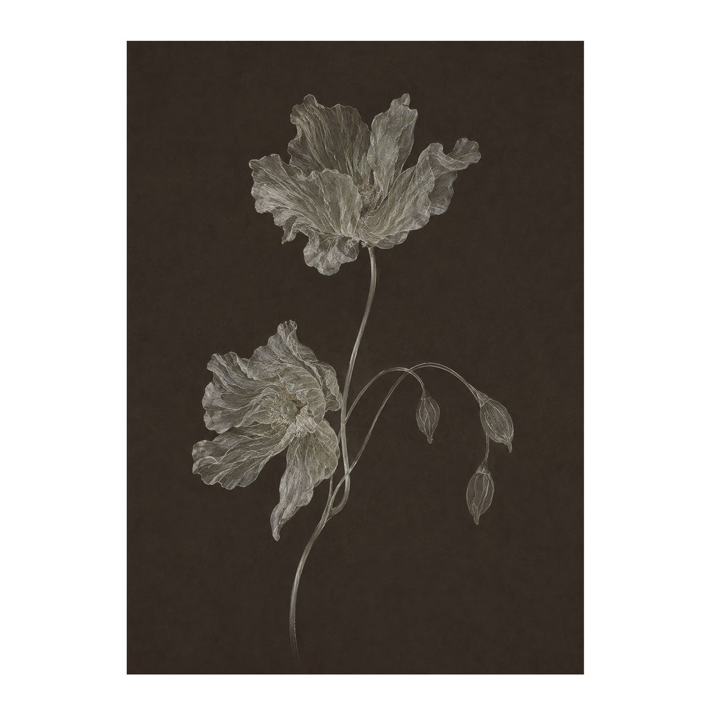 Nocturne Botanicals 3