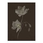 Nocturne Botanicals 3