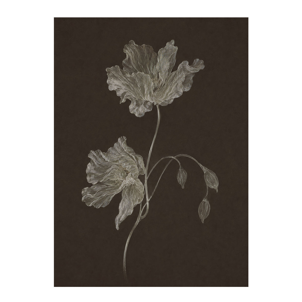 Nocturne Botanicals 3