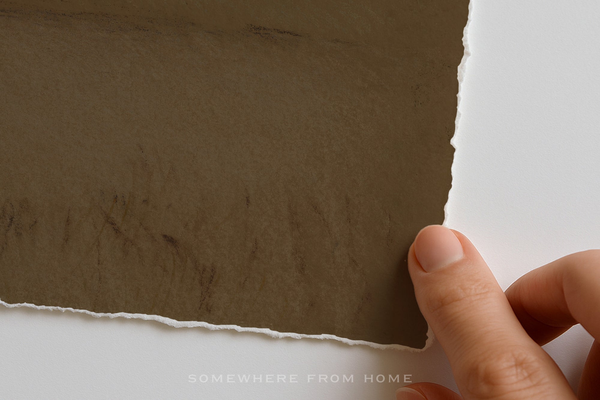 Autumn Haze – Moody Bronze Landscape