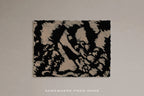 Study in Contrast – Black & Cream Abstract