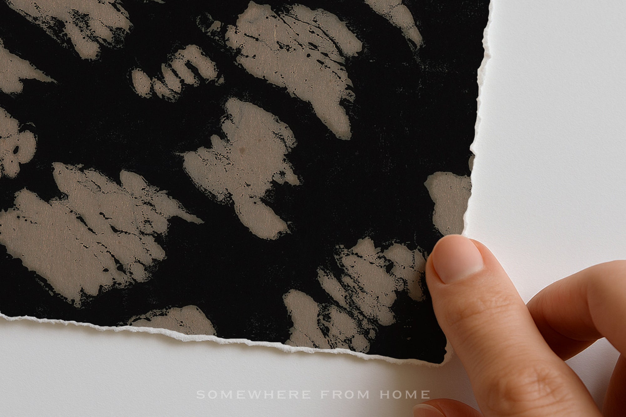 Study in Contrast – Black & Cream Abstract