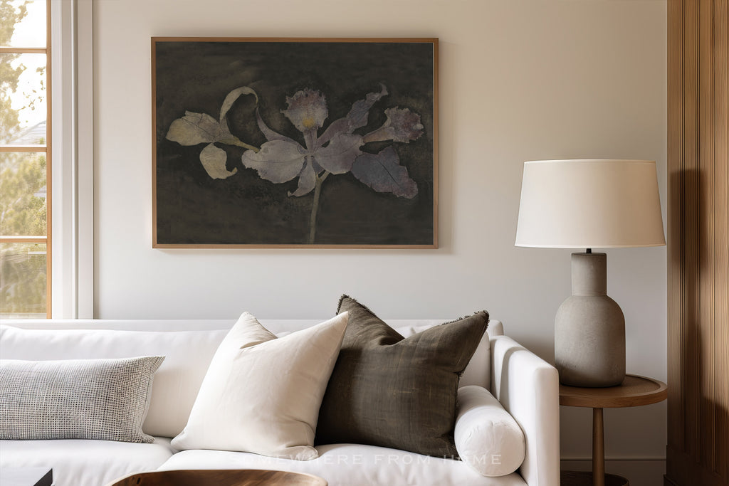 Velvet Orchid – A Moody Botanical Study